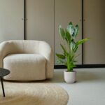 Cozy living room corner with a plush beige curved chair, a tall potted plant, and a round rug by neutral cabinets.
