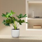 Potted leafy plant in a ribbed gray pot on a beige shelf, with a laptop and books on the background shelf.