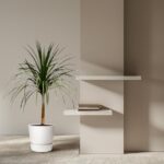 Minimalist living room corner: tall potted plant beside two white floating shelves with a few books.