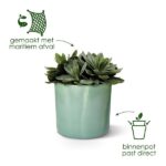Succulent in a teal ceramic pot; text implies the pot is made from marine waste and an inner pot fits directly inside.