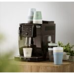 803d1de6a2920fcf8d97a474facc3303ad7dcfbdca5a7035f5c4719b7abdb63f - Hidalgo