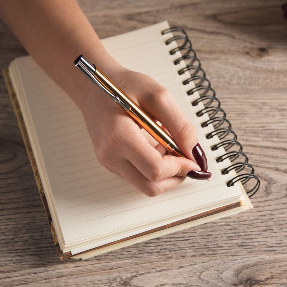 The girl wants to write in an empty notebook - Hidalgo