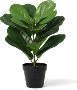 Kunstplant in zwarte pot